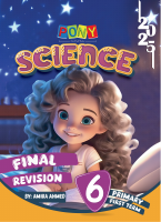 Pony Sc Grade 6 (Questions) (1).pdf